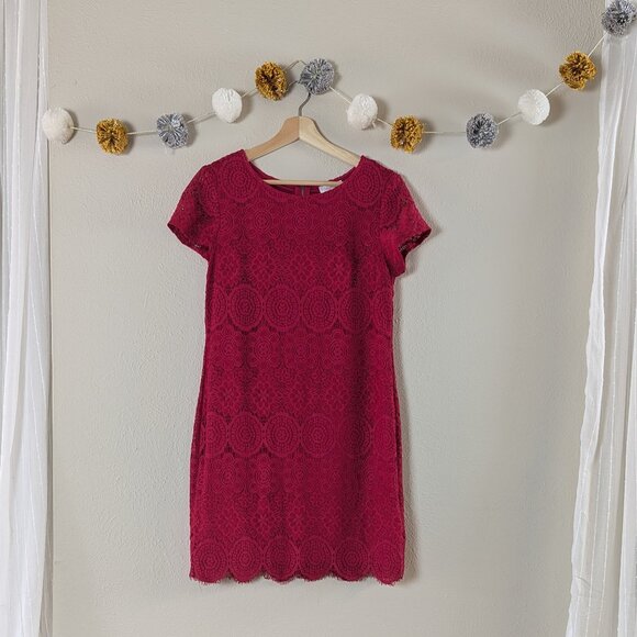 Laundry by Shelli Segal Magenta Lace Shift Dress - Size 8P - Picture 1 of 13